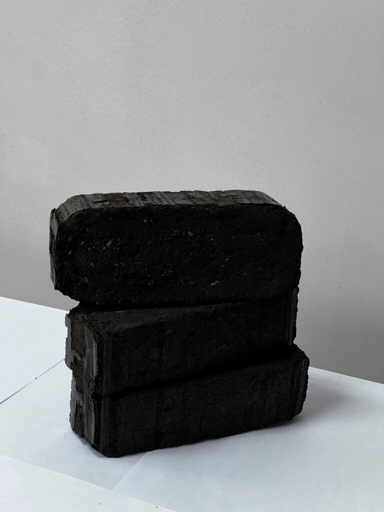 01KC1Z7SHCTTCAGN9V17H7MPW9